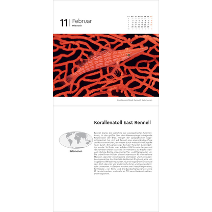 Artikelbild 2 für KUNTH Tischkalender Schätze der Natur 2026 Bilder, Artikelnummer 575839