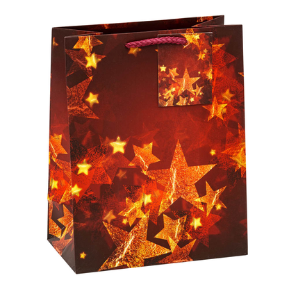 Artikelbild 5 für 12 TSI Geschenktüten Weihnachten Serie 8 Motiv sortiert 18,0 x 23,0 cm, Artikelnummer 277313