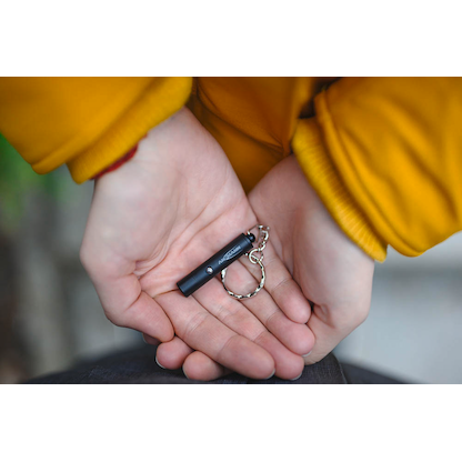 Artikelbild 5 für ANSMANN Keychain LED Taschenlampe schwarz 5,0 cm, Artikelnummer 629289