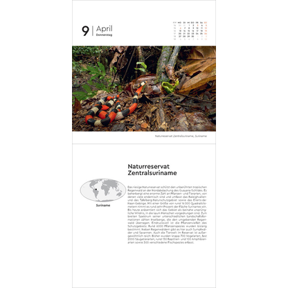 Artikelbild 4 für KUNTH Tischkalender Schätze der Natur 2026 Bilder, Artikelnummer 575839