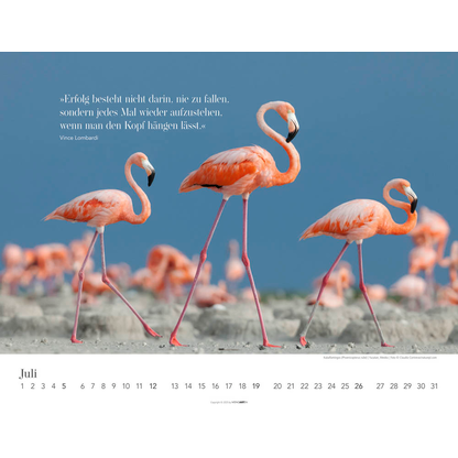 Artikelbild 8 für Weingarten Monats-Wandkalender Wege des Erfolgs 2026, Artikelnummer 551087