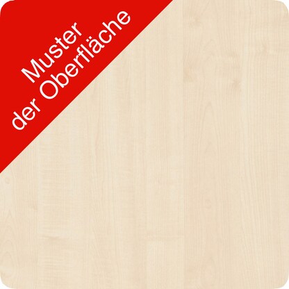 Artikelbild 2 für geramöbel Flex Rollladenschrank ahorn, silber 2 Fachböden 120,0 x 42,5 x 118,2 cm, Artikelnummer 876591