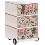 Artikelbild 1 für PAPERFLOW easyBox Garden Factory Rollcontainer weiß, bunt 4 Auszüge 39,0 x 43,6 x 64,2 cm, Artikelnummer 215776