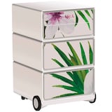Artikelbild 1 für PAPERFLOW easyBox Tropical Rollcontainer weiß, bunt 4 Auszüge 39,0 x 43,6 x 64,2 cm, Artikelnummer 215359