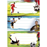 Artikelbild 1 für HERMA Schuletiketten Fussball, 6 Etiketten, Artikelnummer 709557