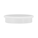 Artikelbild 1 für Magnete weiß, Kunststoff Ø 3,8 x 1,03 cm, 10 St., Artikelnummer 541318