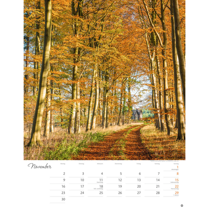 Artikelbild 12 für Heye Monats-Wandkalender Wege zum Träumen 2026, Artikelnummer 551182