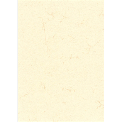 Artikelbild für RNK-Verlag Motivpapier Elefantenhaut chamois DIN A3 190 g/qm 10 Blatt, Artikelnummer 186761