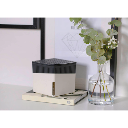 Artikelbild 4 für WENKO Cube Raumentfeuchter grau, 2x 500,0 g, Artikelnummer 816791