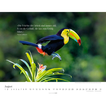 Artikelbild 9 für Weingarten Monats-Wandkalender Wege des Erfolgs 2026, Artikelnummer 551087