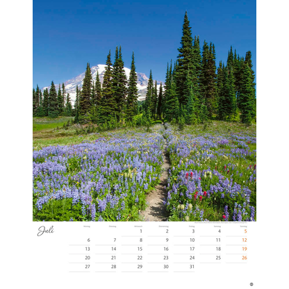 Artikelbild 8 für Heye Monats-Wandkalender Wege zum Träumen 2026, Artikelnummer 551182