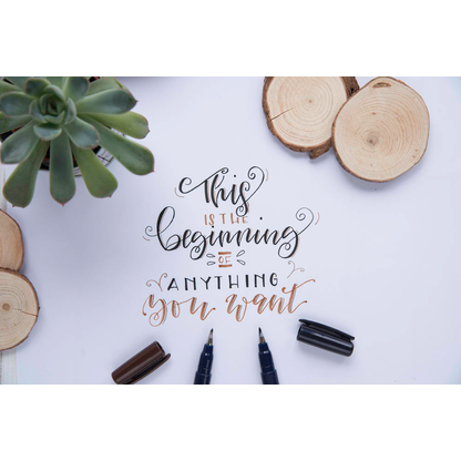 Artikelbild 7 für Tombow Fudenosuke Brush-Pens farbsortiert, 1 Set, Artikelnummer 301157