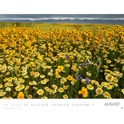 Artikelbild 9 für Heye Monats-Wandkalender Blütenmeer 2026, Artikelnummer 551159