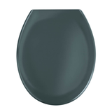 Artikelbild 1 für WENKO WC-Sitz mit Absenkautomatik Ottana dunkelgrau, Artikelnummer 812533