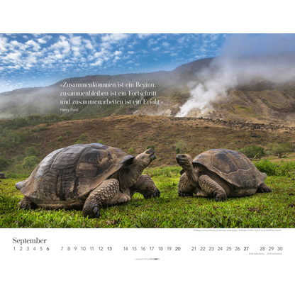 Artikelbild 10 für Weingarten Monats-Wandkalender Wege des Erfolgs 2026, Artikelnummer 551087