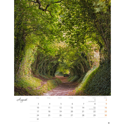 Artikelbild 9 für Heye Monats-Wandkalender Wege zum Träumen 2026, Artikelnummer 551182