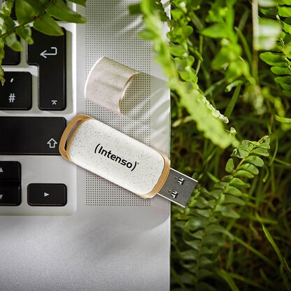 Artikelbild 4 für Intenso USB-Stick Green Line beige 128 GB, Artikelnummer 886947