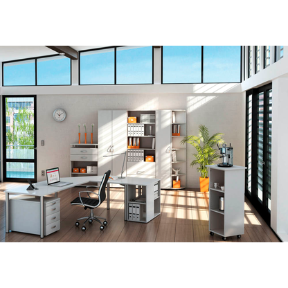 Artikelbild 3 für geramöbel Aktenschrank Flex, S-386002-LL lichtgrau 5 Fachböden 80,0 x 42,0 x 216,0 cm, Artikelnummer 875498