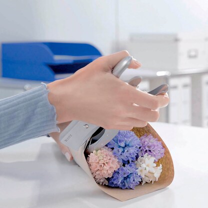 Artikelbild 3 für AKTION: LEITZ Heftzange 5549 silber mit Prämie nach Registrierung, Artikelnummer 575639