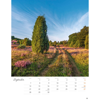 Artikelbild 10 für Heye Monats-Wandkalender Wege zum Träumen 2026, Artikelnummer 551182