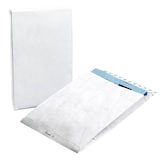 Artikelbild 1 für BONG Faltentaschen Tyvek® Expander DIN C4 ohne Fenster weiß mit 3,8 cm Falte, 100 St., Artikelnummer 706325