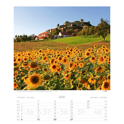 Artikelbild 10 für ATHESIA TAPPEINER Monats-Wandkalender Österreich 2026, Artikelnummer 554141
