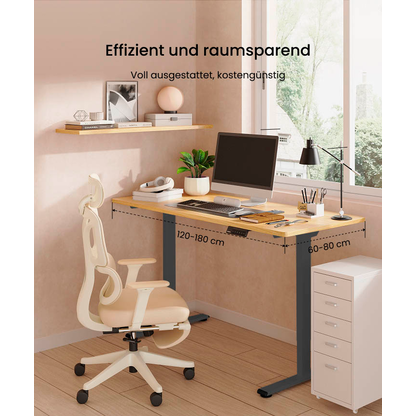 Artikelbild 8 für FlexiSpot E1 Pro elektrisch höhenverstellbares Schreibtischgestell schwarz ohne Tischplatte, T-Fuß-Gestell schwarz 111,6 - 148,6 x 68,0 cm, Artikelnummer 656676