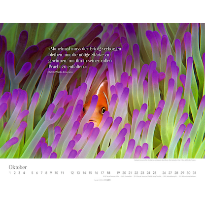 Artikelbild 11 für Weingarten Monats-Wandkalender Wege des Erfolgs 2026, Artikelnummer 551087