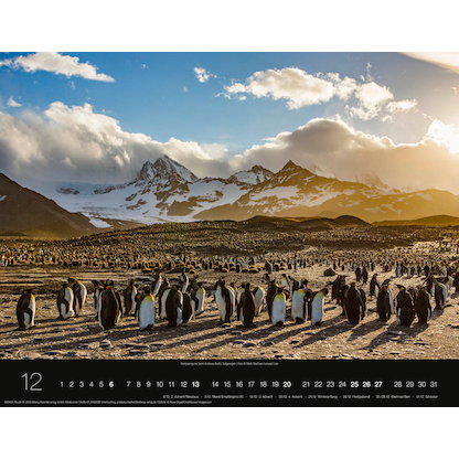 Artikelbild 13 für Monats-Wandkalender Rund um die Welt 2026, Artikelnummer 551103