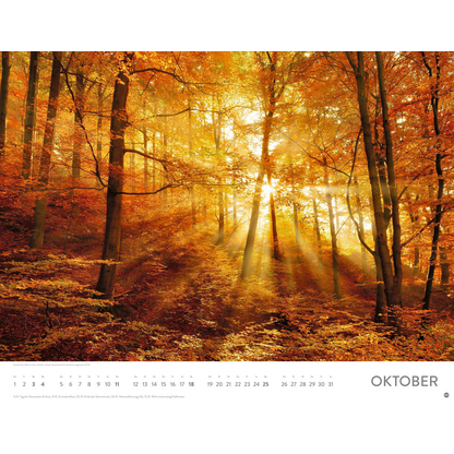 Artikelbild 11 für Heye Monats-Wandkalender Sonnenzauber 2026, Artikelnummer 551137