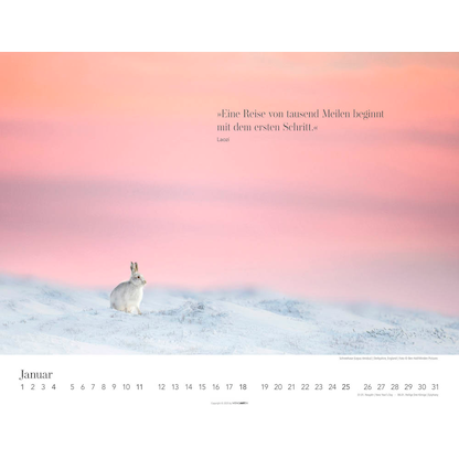 Artikelbild 2 für Weingarten Monats-Wandkalender Wege des Erfolgs 2026, Artikelnummer 551087