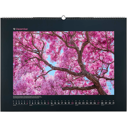 Artikelbild 13 für KUNTH Monats-Wandkalender Aufgeblüht 2026, Artikelnummer 575847