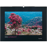 Artikelbild 1 für KUNTH Monats-Wandkalender Aufgeblüht 2026, Artikelnummer 575847