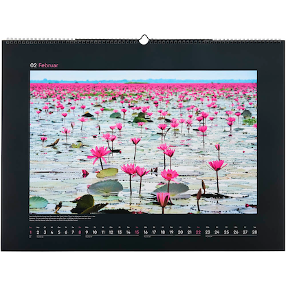 Artikelbild 3 für KUNTH Monats-Wandkalender Aufgeblüht 2026, Artikelnummer 575847