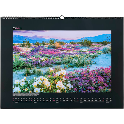 Artikelbild 4 für KUNTH Monats-Wandkalender Aufgeblüht 2026, Artikelnummer 575847