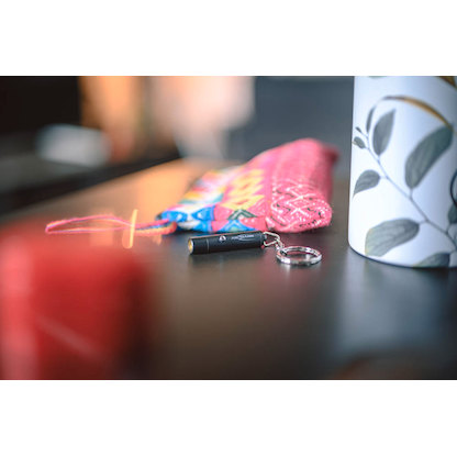 Artikelbild 13 für ANSMANN Keychain LED Taschenlampe schwarz 5,0 cm, Artikelnummer 629289