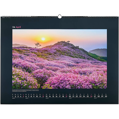 Artikelbild 5 für KUNTH Monats-Wandkalender Aufgeblüht 2026, Artikelnummer 575847