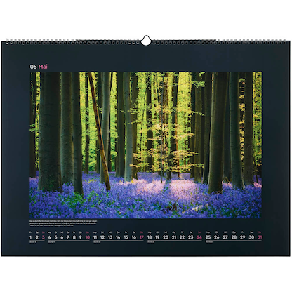 Artikelbild 6 für KUNTH Monats-Wandkalender Aufgeblüht 2026, Artikelnummer 575847