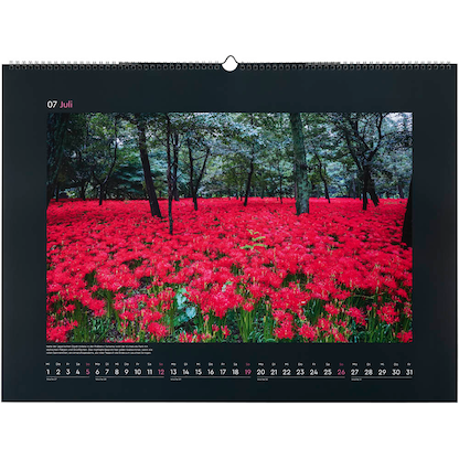 Artikelbild 8 für KUNTH Monats-Wandkalender Aufgeblüht 2026, Artikelnummer 575847