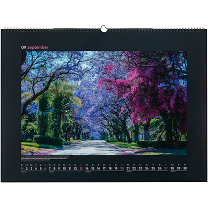 Artikelbild 10 für KUNTH Monats-Wandkalender Aufgeblüht 2026, Artikelnummer 575847