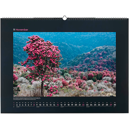 Artikelbild 12 für KUNTH Monats-Wandkalender Aufgeblüht 2026, Artikelnummer 575847