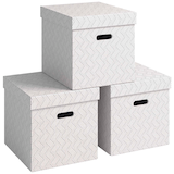 Artikelbild 1 für 3 VON LEITZ CUBE Aufbewahrungsboxen 29,0 l weiß 32,0 x 36,5 x 31,5 cm, Artikelnummer 636078