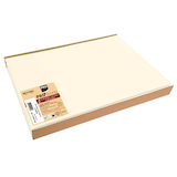 Artikelbild 1 für 100 PROnappe Platzsets beige 30,0 x 40,0 cm, Artikelnummer 348528