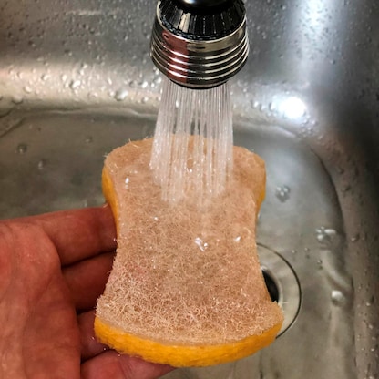 Artikelbild 6 für pandoo Saugschwamm, 2 St., Artikelnummer 613756