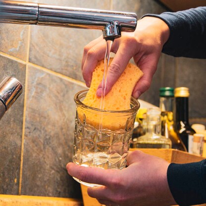 Artikelbild 7 für pandoo Saugschwamm, 2 St., Artikelnummer 613756