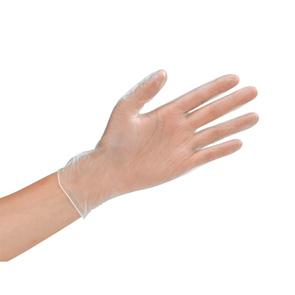 Artikelbild 3 für HYGOSTAR unisex Einmalhandschuhe CLASSIC transparent Größe L, 100 St., Artikelnummer 597757