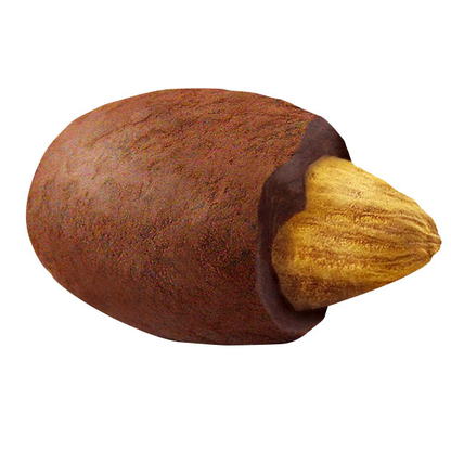 Artikelbild 3 für HELLMA Mandel in der Kakaohülle 30 St./72,0 g, Artikelnummer 281079