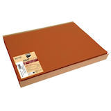 Artikelbild 1 für 100 PROnappe Platzsets orange 30,0 x 40,0 cm, Artikelnummer 349569