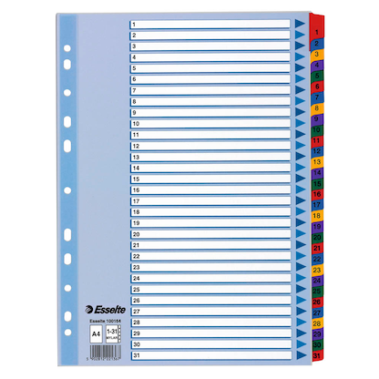 Artikelbild für Esselte Ordnerregister DIN A4 Vollformat 1-31 farbig 31-teilig, 1 Satz, Artikelnummer 352849