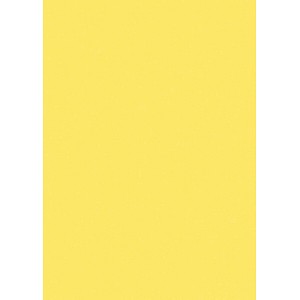 office discount Kopierpapier Color canariengelb DIN A4 160 g/qm 250 Blatt office discount Kopierpapier Color canariengelb DIN A4 160 g/qm 250 Blatt